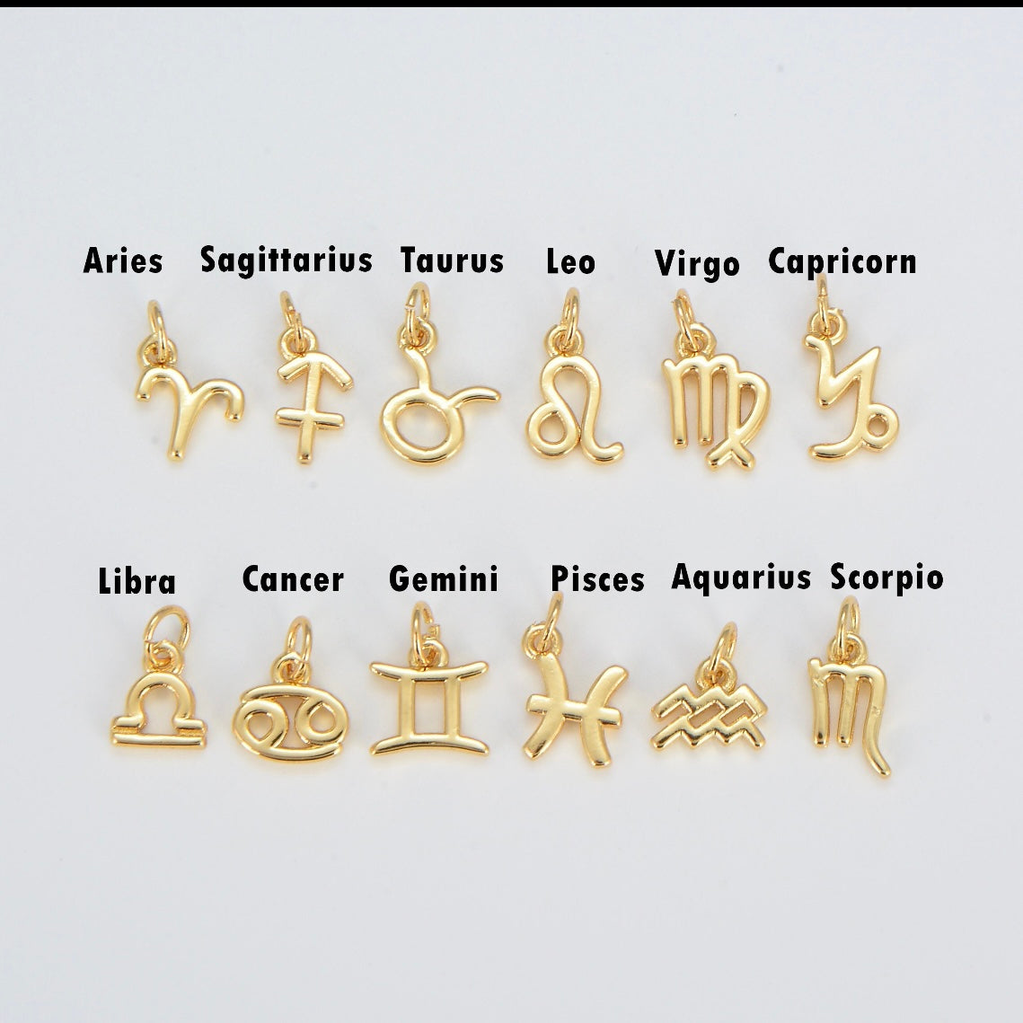 Mini Zodiac Sign Charm image 0
