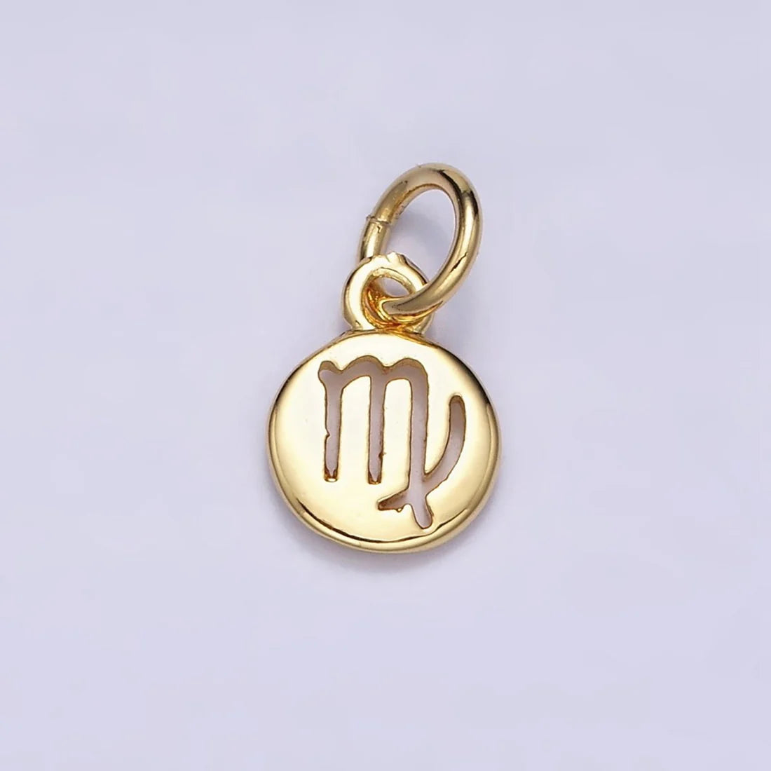 Round Zodiac Sign Charm image 8