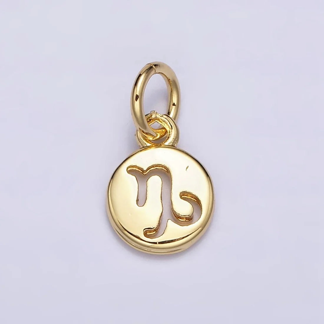 Round Zodiac Sign Charm image 7