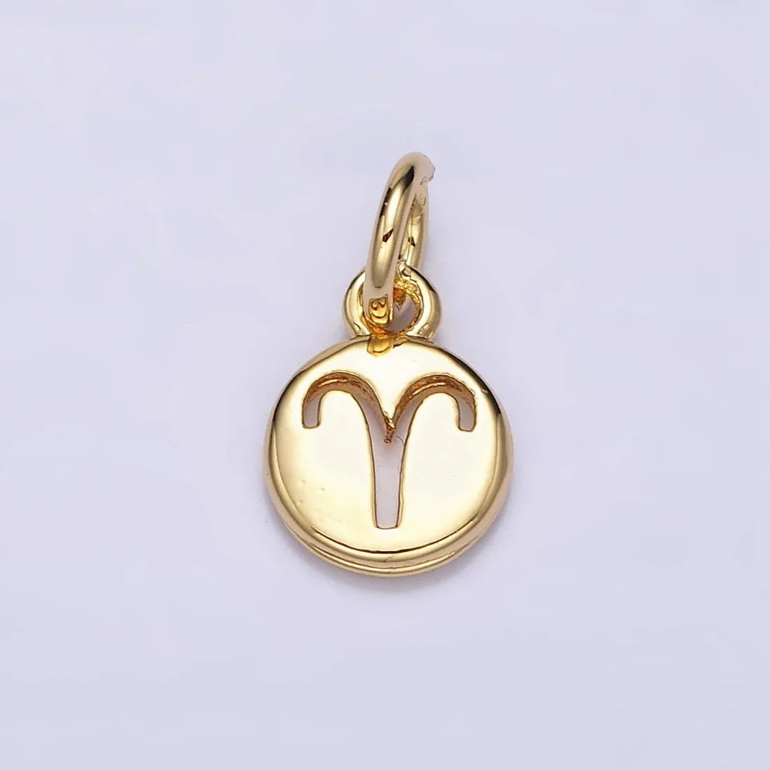 Round Zodiac Sign Charm image 6