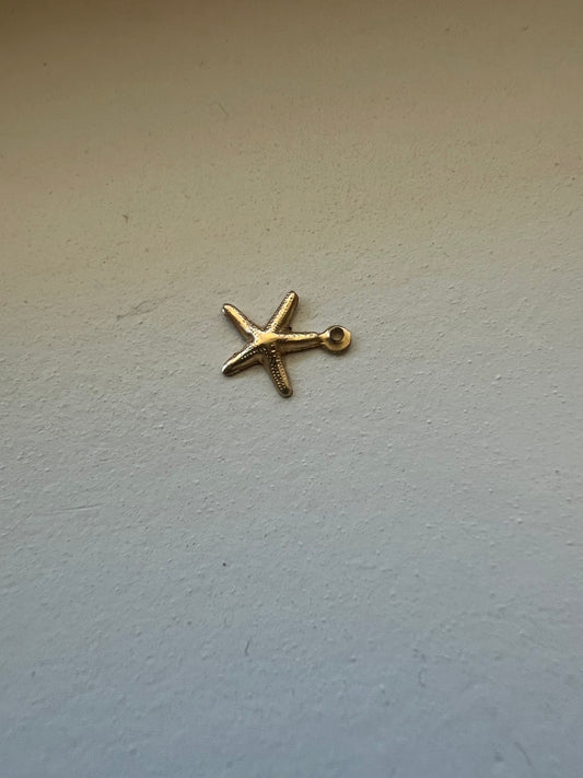 Tiny Brass Star Fish image 0